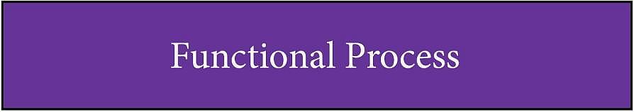 Functional Process graphic