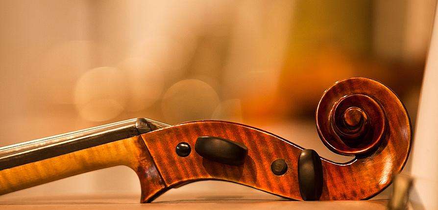 stock image of cello head