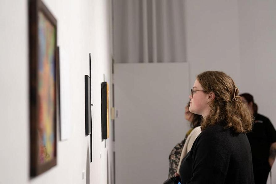 Person viewing artwork in a gallery setting