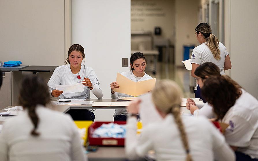 Nursing Clubs and Organizations