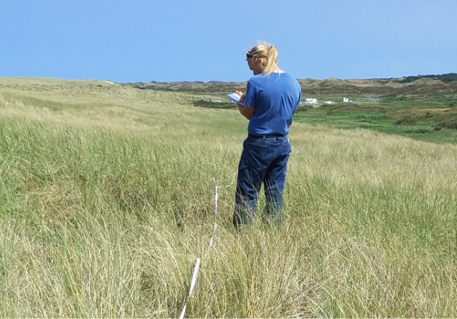 a forestry fire ecology student