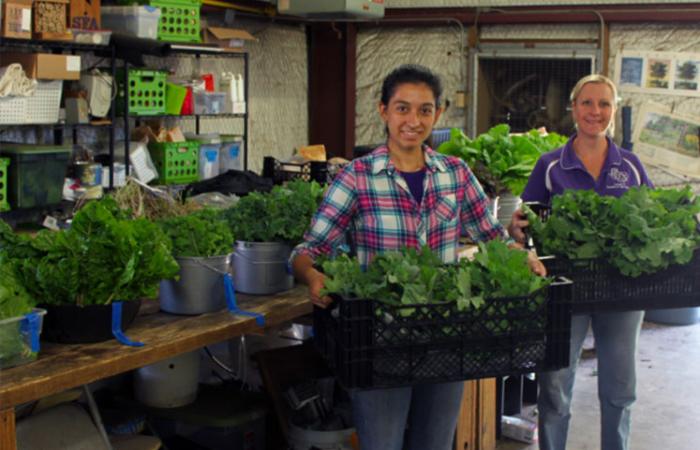 Students holding plants