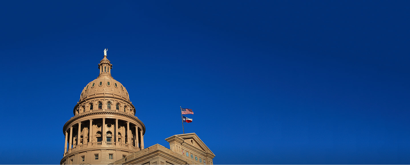 SFA Department of Government
