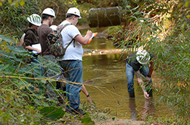 forestry programs and degrees