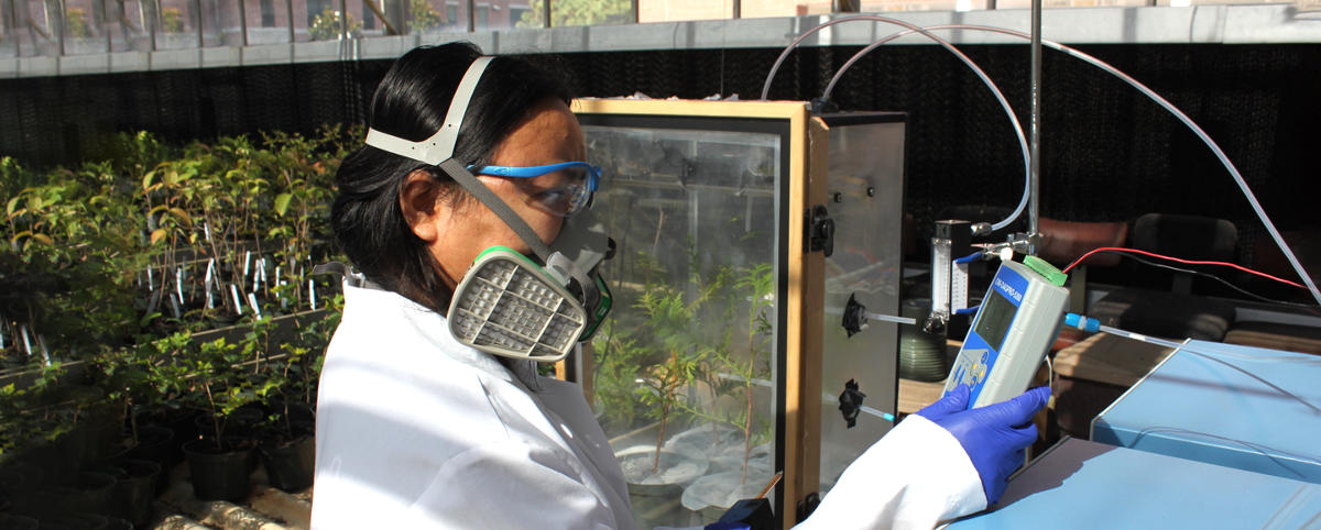 horticulture research