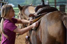 a student saddling a horse