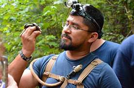 forest wildlife management