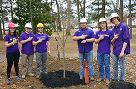 urban forestry