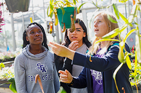 students talking about plants