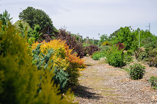 gardens
