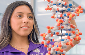 SFA Biology