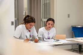 Registered Nurse to Bachelor of Science in Nursing