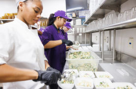 culinary arts minor