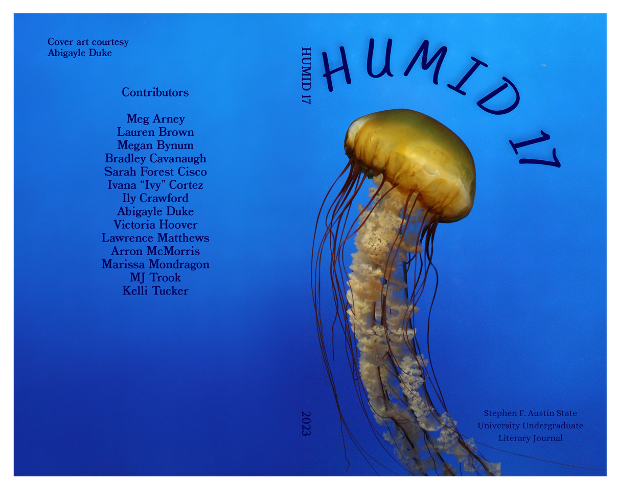 HUMID 17