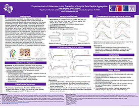 Laken Simington Poster