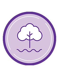 Environmental Wellness