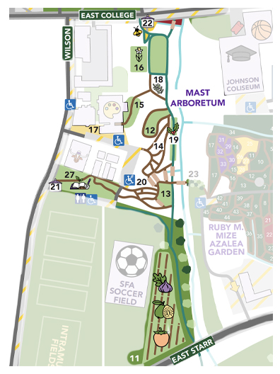 Mast Arboretum