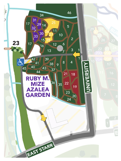 Ruby M. Mize Azalea Garden