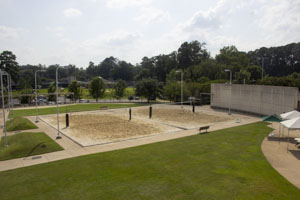 Sand Volleyball