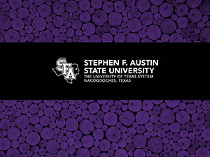 Purple 2 wallpaper