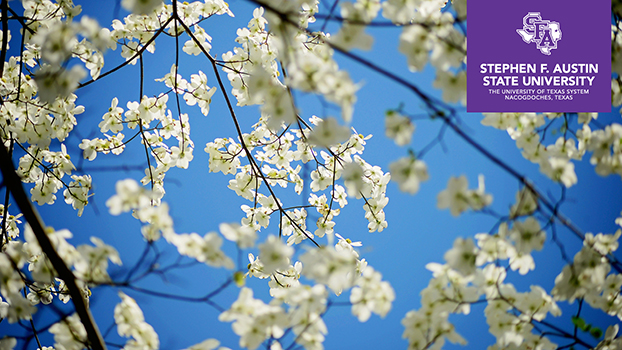 Flowering Tree