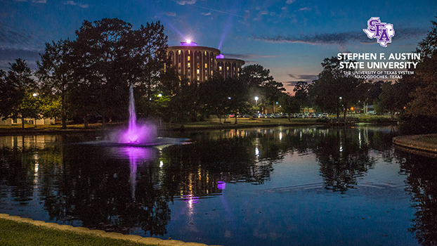 Purple Lights