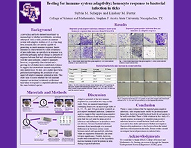 Sylvia Schepps Poster