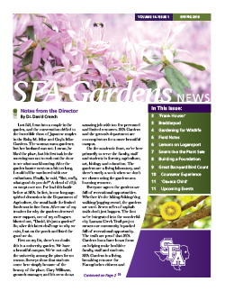 Spring 2019