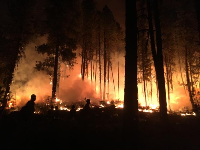 wildfire