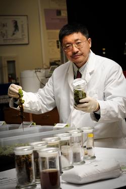 Dr. Shiyou Li