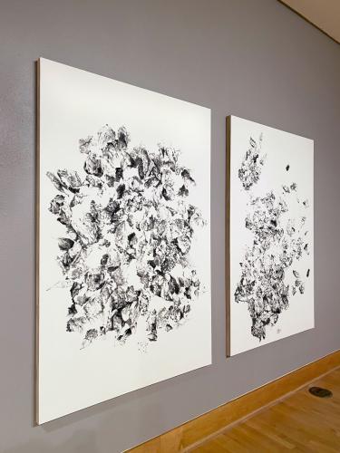 works by SFA graduate student Lindsey Creel