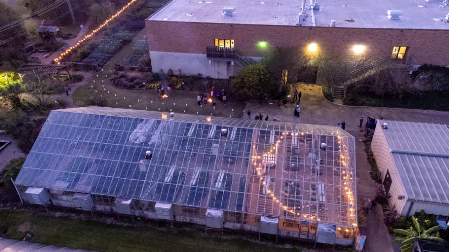 the SFA Plantery
