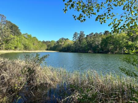 Tyler State Park