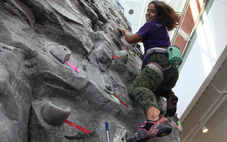 Rock Wall