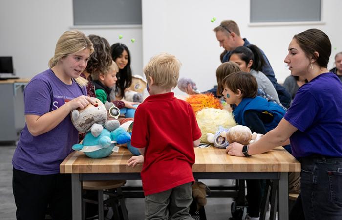 SFA STEM Teaching