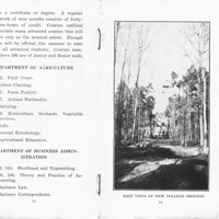 Summer Bulletin - 1924